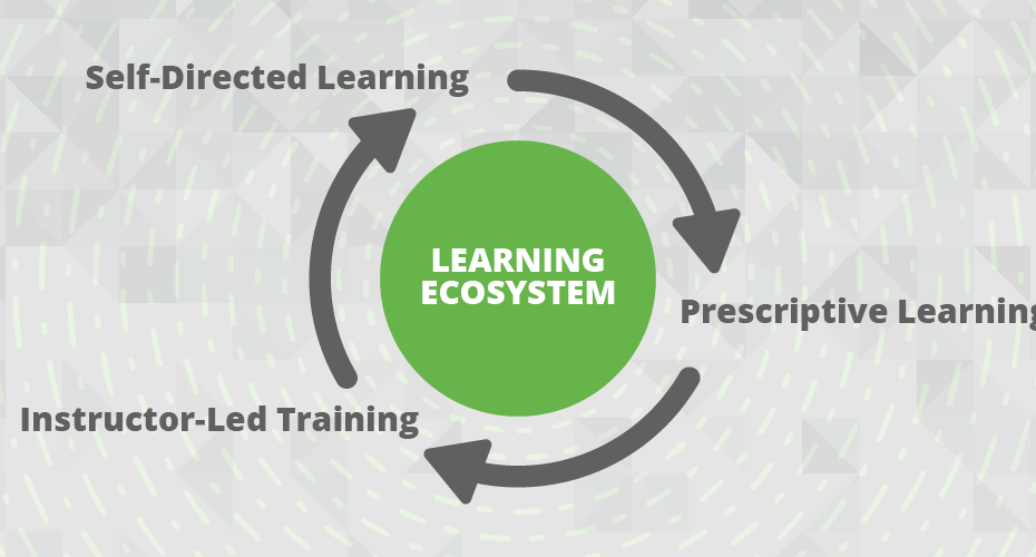 visualized-learning-ecosystem-hero-img-1000×500-1