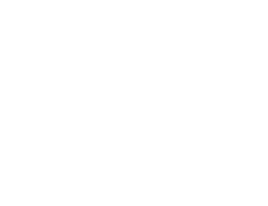 NASVI logo